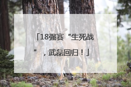18强赛“生死战”，武磊回归！