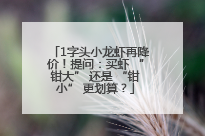 1字头小龙虾再降价！提问：买虾 “钳大” 还是 “钳小” 更划算？