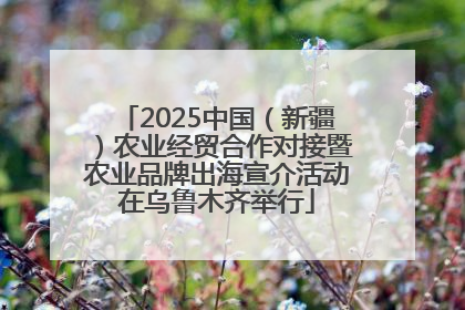 2025中国（新疆）农业经贸合作对接暨农业品牌出海宣介活动在乌鲁木齐举行