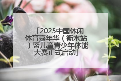 2025中国休闲体育嘉年华（衡水站）暨儿童青少年体能大赛正式启动
