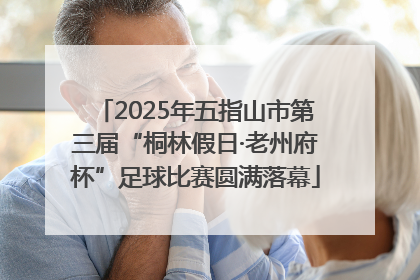 2025年五指山市第三届“桐林假日·老州府杯”足球比赛圆满落幕