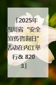 2025年四川省“安全宣传咨询日”活动在内江举行& 8203