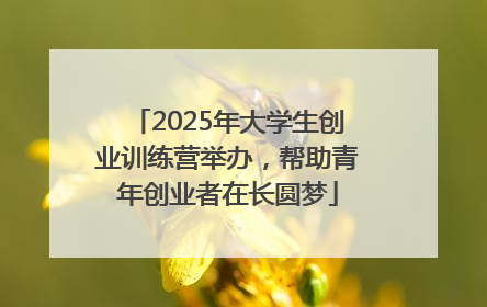 2025年大学生创业训练营举办，帮助青年创业者在长圆梦