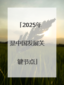 2025年是中国发展关键节点