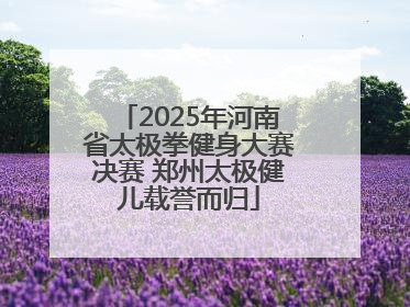 2025年河南省太极拳健身大赛决赛 郑州太极健儿载誉而归