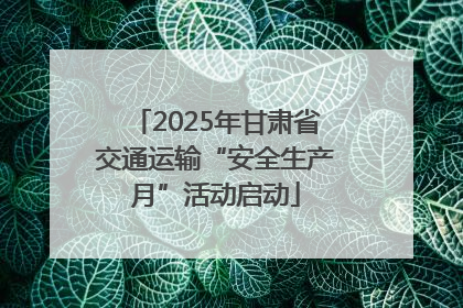 2025年甘肃省交通运输“安全生产月”活动启动