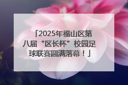 2025年福山区第八届“区长杯”校园足球联赛圆满落幕！
