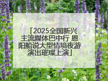 2025全国新兴主流媒体巴中行 恩阳船说大型情境夜游演出璀璨上演