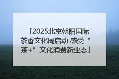 2025北京朝阳国际茶香文化周启动 感受“茶+”文化消费新业态