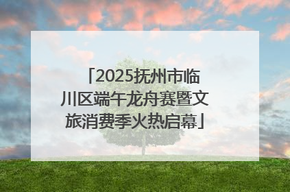 2025抚州市临川区端午龙舟赛暨文旅消费季火热启幕