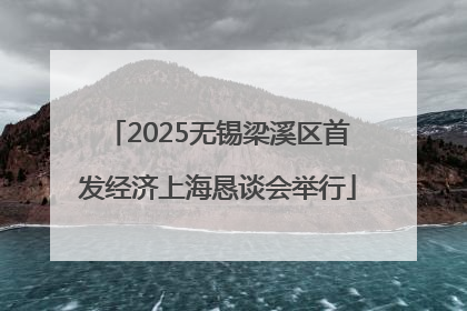 2025无锡梁溪区首发经济上海恳谈会举行