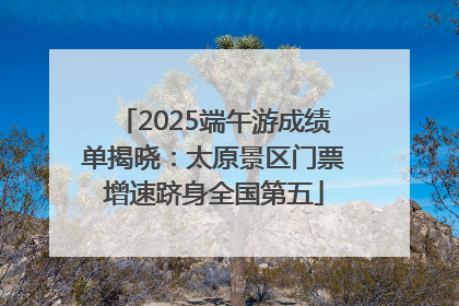 2025端午游成绩单揭晓：太原景区门票增速跻身全国第五