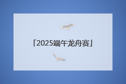 2025端午龙舟赛