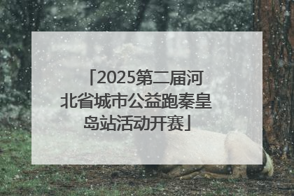 2025第二届河北省城市公益跑秦皇岛站活动开赛