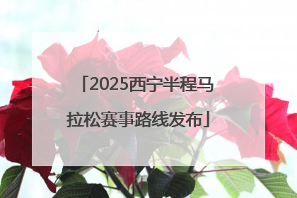 2025西宁半程马拉松赛事路线发布