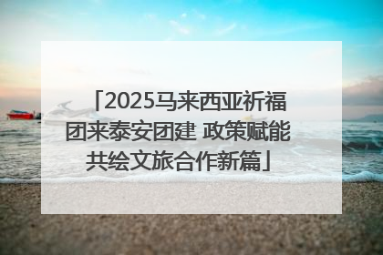 2025马来西亚祈福团来泰安团建 政策赋能共绘文旅合作新篇