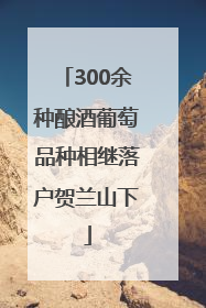 300余种酿酒葡萄品种相继落户贺兰山下