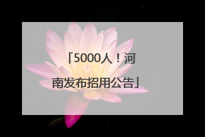 5000人！河南发布招用公告