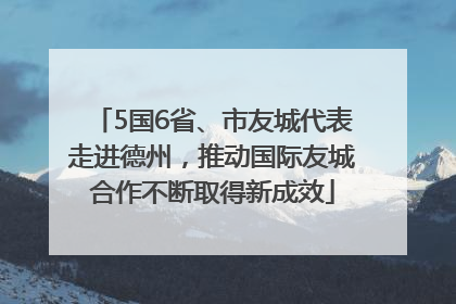 5国6省、市友城代表走进德州，推动国际友城合作不断取得新成效