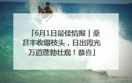 6月1日最佳情报｜桑葚丰收缀枝头，日出霞光万道蓬勃壮观！恭喜