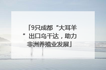 9只成都“大耳羊”出口乌干达，助力非洲养殖业发展