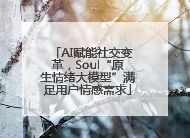 AI赋能社交变革，Soul“原生情绪大模型”满足用户情感需求