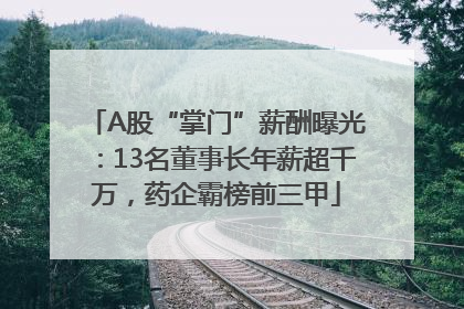 A股“掌门”薪酬曝光：13名董事长年薪超千万，药企霸榜前三甲