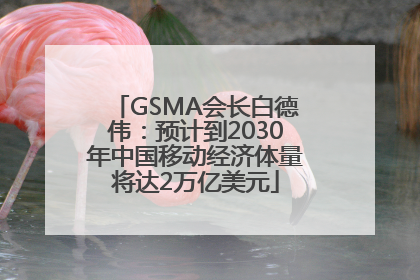 GSMA会长白德伟：预计到2030年中国移动经济体量将达2万亿美元