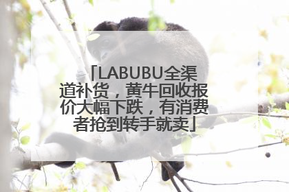 LABUBU全渠道补货，黄牛回收报价大幅下跌，有消费者抢到转手就卖