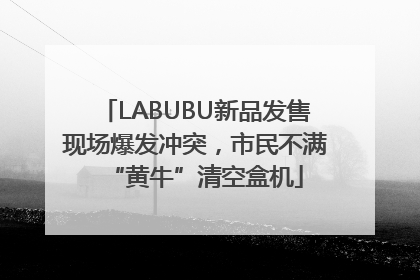 LABUBU新品发售现场爆发冲突，市民不满“黄牛”清空盒机