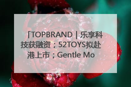 TOPBRAND｜乐享科技获融资；52TOYS拟赴港上市；Gentle Monster合作谷歌；Valentino传播官离职